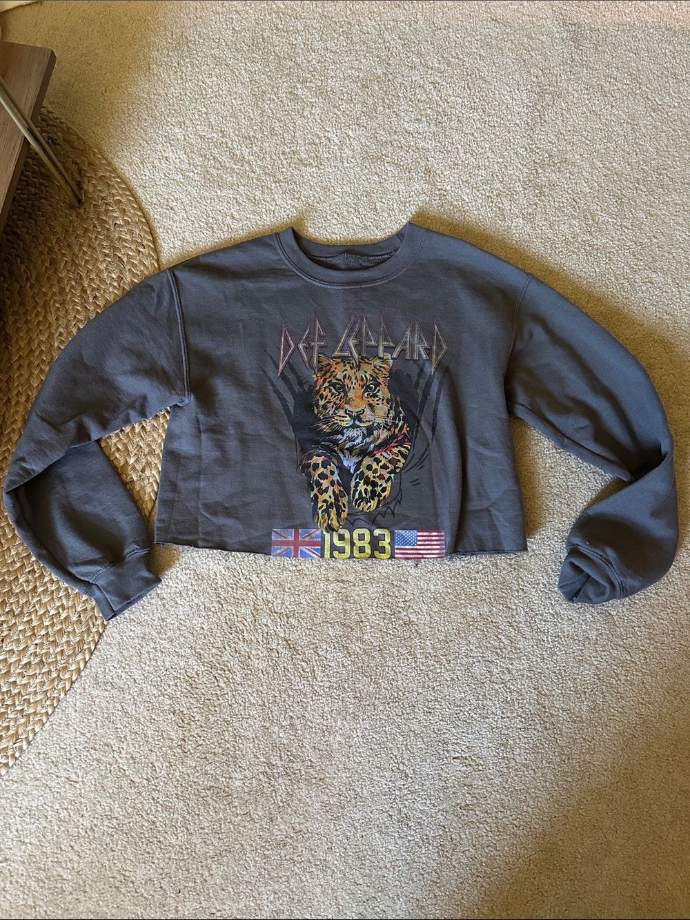 Cropped Def Leppard Graphic Sweatshirt - Gray